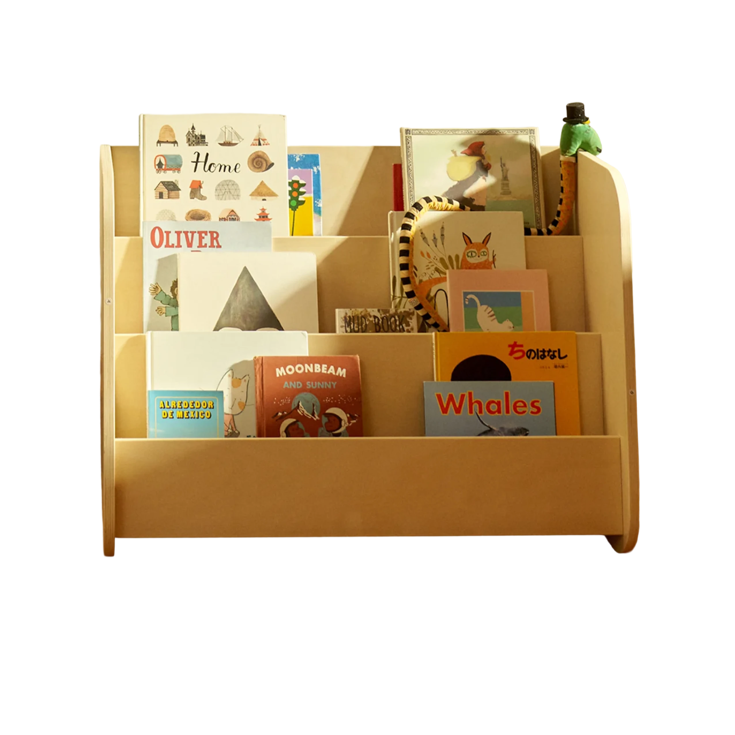 Montessori Bookshelf